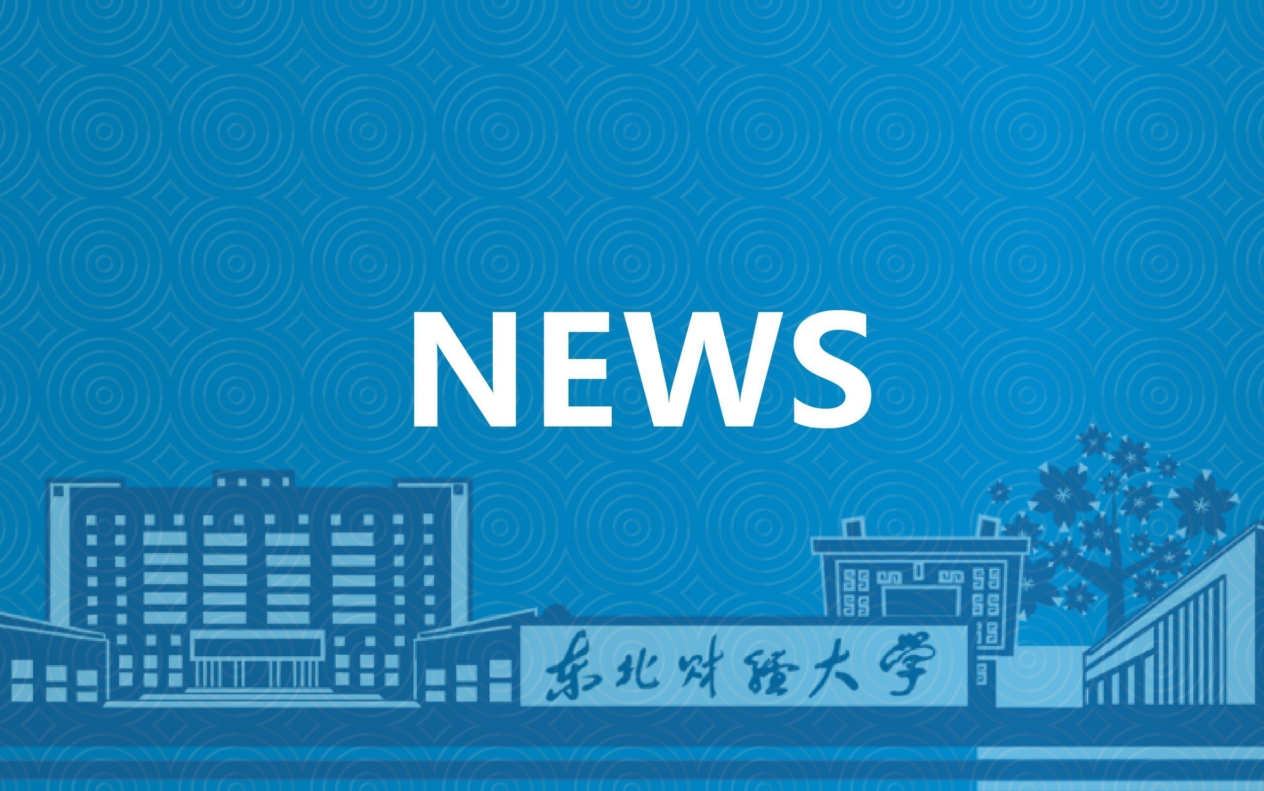 东北财经大学党委常委、副校长孙武军到高等经济研究院调研指导工作